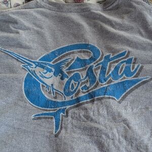 Costa Gray and Blue Graphic T-Shirt